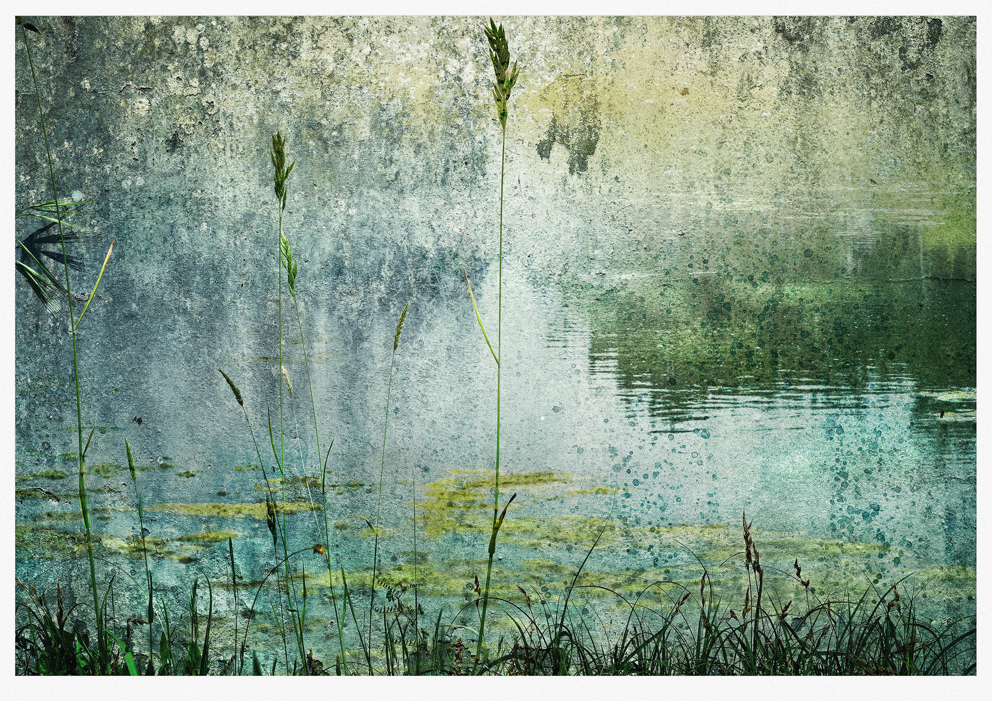 Calm monotoned misty pond landscape constructed from lichen stained wall and an actual pond photographs