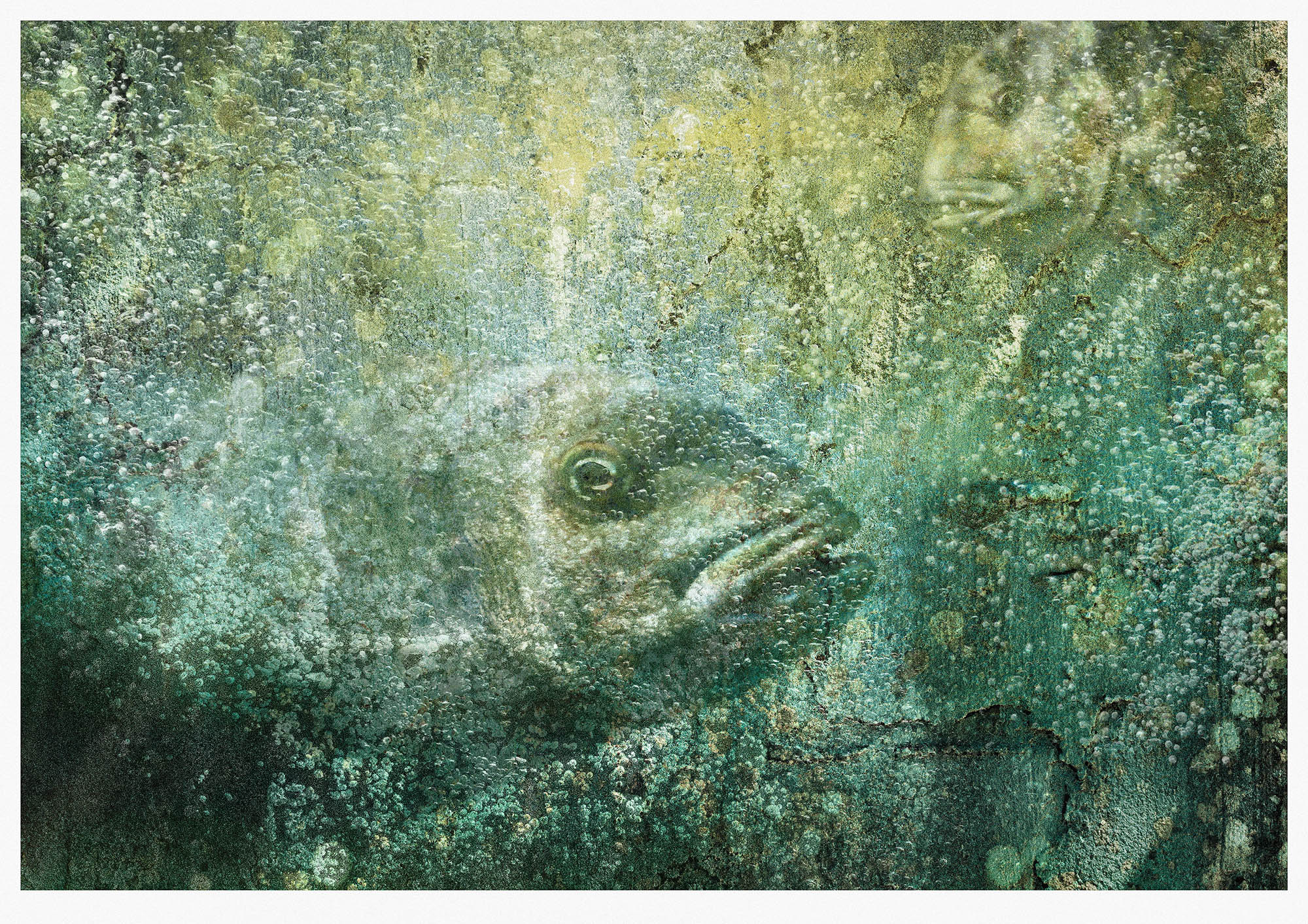 Monotoned underwater scene with two fish and many bubbles constructed from lichen stained wall water and a fish 