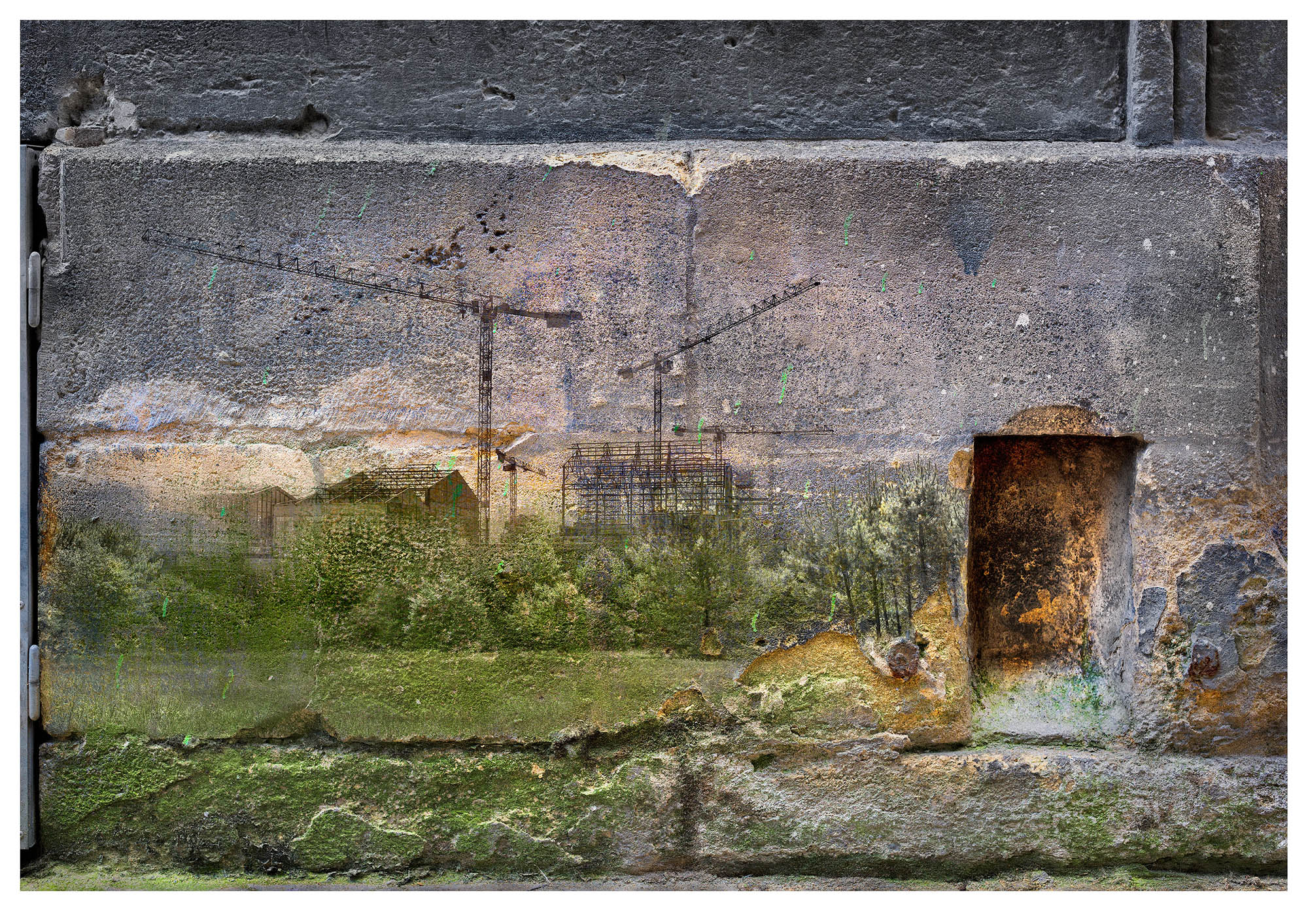 Composite photograph of weathered wall with some white building product netting stuck to it. At the bottom of the picture left is a small pile of burning dumped rubbish while to the right a fox looks on. The top of the picture shows a copse of trees and telegraph poles suggesting an urban setting